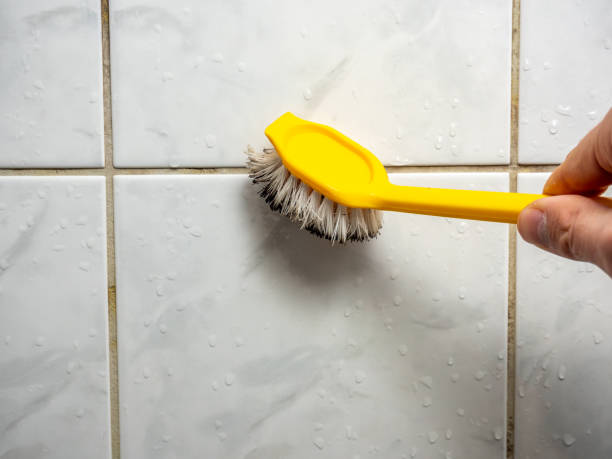 Best Best Mold Removal Companies  in Hollins, VA