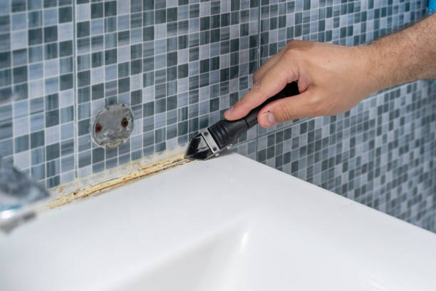 Best Mold Remediation  in Hollins, VA